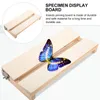 Ramar Butterfly Wings Experimental Supply Supplies Wood Tools Butterflies Board Toy Insects Justerbar prov Displayplatta