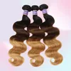 Brzailian Ombre Hair Extension Three Tone 1B427 Body Wave Brown Human Hair Weave 3バンドル安い色付きブラジルブロンドヘア4992698