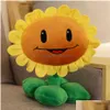 Filmer TV Plush Toy 30cm växter vs zombies plysch fyllda leksaker PVZ Peashooter Chomper Sunflower Toy Doll presenter för barn barn släpper DHVPF