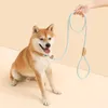 Nylon Dog Traction Rope for Medium Large Pet Dog Walking Training P Chain Collar Dog Leash Easy Control Adjustable Pet Supplies 231221