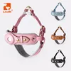 Loutidik Smart GPS Airtag Dog Harness and Leash Set Wholesale Small Medium Grand Pet Pet Arestary ACCESSOIRES DE TRAVAIL 231221