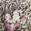 Dekorativa blommor naturlig feberfew torkad vit krysantemum blomma påse kudde fyllning diy doftljusblandning