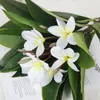 Dekorativa blommor Simulering av plastkonstgjord blommor dekoration 3D Känn Frangipani STOW Fönster Landskapsträdtransplantation