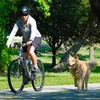 Elastisk hundvalp cykeltraktionsbälte rep hund koppel cykel fästning husdjur promenad kör jogging avstånd keeper handfri husdjur koppel 231221