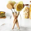 Manche en bois Nettoyage brosse cuisine hêtre en bois long manche de manche outil de plat en gros FY2680 FY2679 SS1222