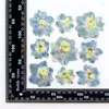 Dekorativa blommor 120stpressade torkade 4-6 cm consolida ajacis blommor herbarium harts epoxy smycken kort bokmärke ram telefon fodral ansikte