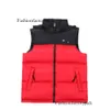 Designer jaqueta homens colete mulheres gilet mens casaco outono inverno moda casacos sem mangas em pé pescoço dupla cor para baixo veste northface puffer