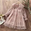 女の子のドレスキッズレースドレスガールズプリンセスフラワードレスピンクの赤ちゃんの衣装ティーンエイジャーのための子供服45 6 8 10 12年