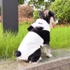 Hundebekleidung Hoodie für mittelgroße Hunde Halloween Panda Thema Frühlingskleidung im Freien Y5GB