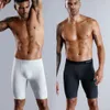 5pcs Set erkekler boksör uzun bacak iç çamaşırı külot erkek külot pamuk seksi boksörler şort marka slip 231221