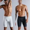 5pcs Set Men Boxer Long Leg Roufes Comunhas de calcinha masculina Cotton Cotton Boxershorts Shorts Slip Slip 231221