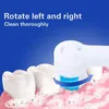 Rotary Electric Toothbrush with Base Rechargeable Dental Automatic High Frequency Vibration Tartar Stains Remove Teeth Whitening 231222