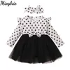 Vestidos de menina 1-3y criança bebê menina menina vestido de renda polka baber babil manga longa tutu vestidos gatezes conjunto bebês menina menina roupas de outono vestido