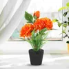 Dekorative Blüten simulierte Pfingstrosen Bonsai Künstliche Blume Peonies Faux im Topf Plastikbecken