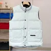 Men's Vests Puffer Jacket Mens Designer Vest Woman Sweatshirt Outdoor Sleeveless Feather Luxury Loose Coat Fashion Long Sleeve Zipper Badges Men Downs VNQS