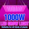 Grow Lights 1000W Tam Spektrum Led Bitkiler Işık 220V Çiçek Büyüme Aydınlatma Fideler İçin 1500W Fitolamp Fito Lambalar Hidroponik 236J