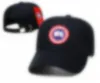 Ball Caps High Quality Street Caps Fashion Baseball hats Mens Womens Sports Caps Designer Fit Hat isabels marants Beanie Hats F-17