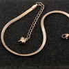 Fashion Simple Flat Snake Bone Chain Rose Gold Anklet Titanium Steel Women Feet Sieraden Anti-Allergic265c