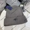 Autumn and Winter Brand Hat mode ny stil klassisk inverterad triangel järn stickad hatt koreansk version par mångsidig ull fuktig kall