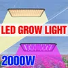 1000W Phyto Lampe LED Full Spectrum Grow Lampe 1500W Phyto Wachstum Licht 2000W LED -Innenpflanzen Glühbirnen US EU UK Plug Fitolampy238u