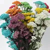装飾的な花永遠の乾いたライスフラワーミレーヘッドdiy本物の自然な花柄のウェディングパーティーの装飾家の装飾アクセサリー