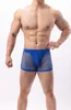 Underpants BRAVE PERSON Mens Sexy Briefs T-back Thongs Underwear Breathable Transparent Mesh Shorts Male Panties Boxers B1202