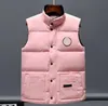 Veste canadienne hiver vestido gilet hommes bas gilets de luxe bodywarmer vestes de mode femmes gilet designer manteau mâle doudoune luxe oie veste homme manteau 2024