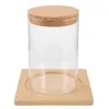 BOTTOLE TERRARIUM JAR DISPLASE PROGATTAMENTO CONTENITORE FLOGLIO SCRIZIONALE SERCO SCULENTE SERRA COMPUTTA CONSIGLIO CASA PRESENTATO FAIRY COWAR FORNER