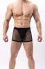 Underpants BRAVE PERSON Mens Sexy Briefs T-back Thongs Underwear Breathable Transparent Mesh Shorts Male Panties Boxers B1202