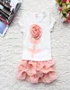 2018 Summer Baby Tutu Skirt Set 3d Flower Cotton Tshirt 2PCS Girl Tutu Skirts Suit