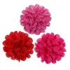 Appareils pour chiens 50pcs Big Flower Collar ACCESSOIRES SLIMBRABLES CHIE PET PET CAT BOIPS FORMES PRODUITS POUR LES CHIENS