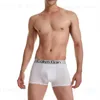 Unterhose Modebrief Druckboxershorts atmungsaktive Eisseide Herrenunterwäsche 3D -Beutel Shorts Unterhose Nahe männliche Boxerhose T231223