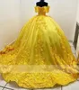 Quinceanera Kleider Yellow Prom Party Ballkleid Custom Reißverschluss Schnürung Plus Größe neu