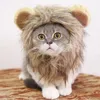 Costumes de chat Costume de lion mignon Headgear Small Dog Hat Pet Pet Drôle Hearine pour Halloween Christmas