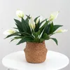 Fiori decorativi 2 pack anthurium artificiali mazzi reali simulazione realistica fiore di seta tropicale per casa