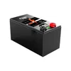 Baterie pojazdów elektrycznych Bateria LifePo4 ma wbudowany wyświetlacz BMS SN o 24 V 50AH, który można dostosować. Nadaje się do golfa Dhlle