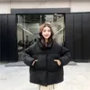 Mulher Down 2023 Autumn Winter Fashion estilo coreano Parkas gole de colarinho solto de peito de peito esgoto de pelúcia de peito casual casual