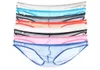 Underpants 8pcslot Sexy Mens Briefs Mesh Veja através de Homme Transparent Tanga Bikini Roupa Gay ROPA Interior Hombre Pantiesund2971340