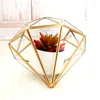 Sieraden zakjes geometrisch terrarium moderne sprookjescontainer glazen display doos voor sappige varen mos luchtcactus planten thuis