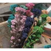 Fleurs décoratives couronnes 50glngth40cm Natural Fresh Ramillete Flores Eternell Millet Flowerbeauty Bouquet pour la ferme de la ferme de Dhqo2