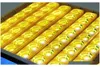 32 Temperatura del portello matico di incubazione di uova digitale cont Qylycs Packing20107146328