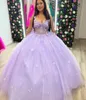 Quinceaneraドレスラベンダープロムパーティーボールガウンカスタムジッパーレースアッププラスサイズ新しいVestido de for Sweet 15アップリケチュール3DフローラルアップリケボウVネック