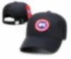 Ball Caps High Quality Street Caps Fashion Baseball hats Mens Womens Sports Caps Designer Fit Hat isabels marants Beanie Hats F-17