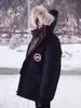 Рабочая одежда вниз куртка для женской средней длины большая пара версии пары свободная от утолщенного зимнего пальто Parker с капюшоном