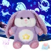 Bunny Projector Luminous Plush Toys Doll Present Bomoll Kastkuddar fyllda djur för flickor Glödande leksaksledande ljus Musikal 231222