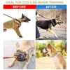 Tamanhos de beliscão de colarinhos de cachorro Poron NO para todos com conforto de capa S e Rickle Fivelellel Pull Training Training Nylon Collar Pets