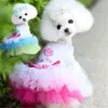 Ubrania z ubrania z psa kochanie Sweet Małe Chihuahua Puppy Spring Summer Princess Autumn Sukienka na różowy