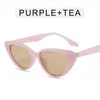 Lunettes de soleil style mode Femmes Cat Forme Eley UV Protection Loiseries Holiday Traveling Female Sungass Feme