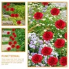 Decorazioni da giardino 2 pezzi Pathway Rose Stake Decorative Flower Ground Insered Decor