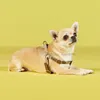 デザイナードッグハーネスカラーとリーシュセットクラシックレタープルドッグハーネスソフト調整可能レザーステップ子犬のベスト屋外ウォーキングディスペンサーM B162